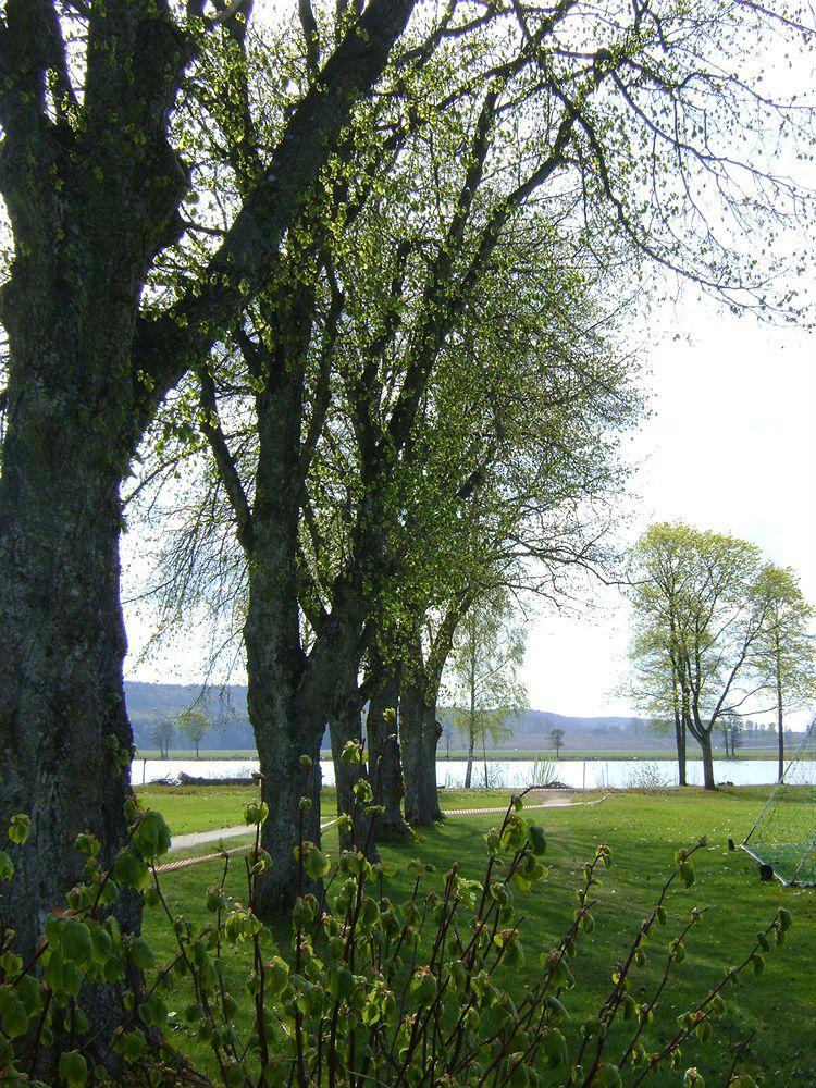 Hehrne Koek & Konferens Vänersborg